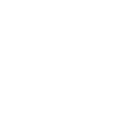 Kondoli Group Logo